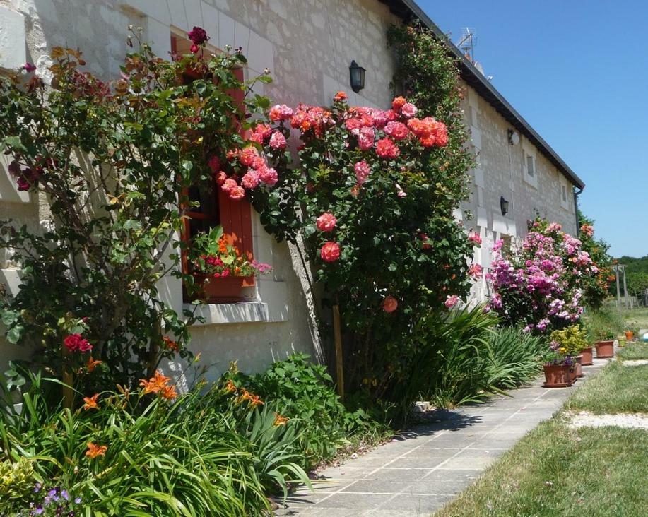 La Maison Des Fleurs Hotel Saint-Senoch Exterior foto